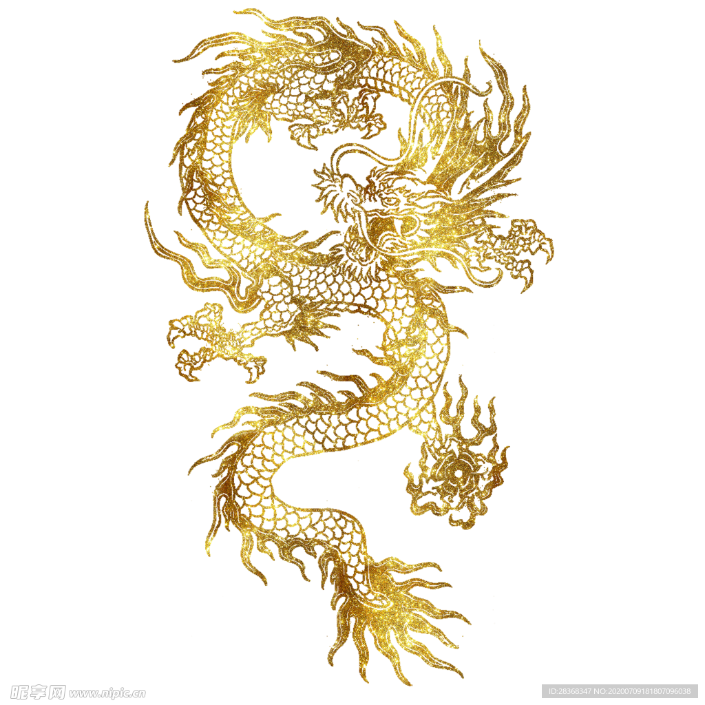 龙