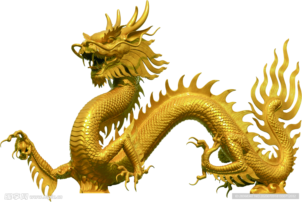 龙