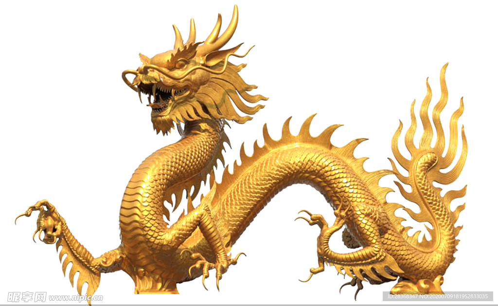 龙
