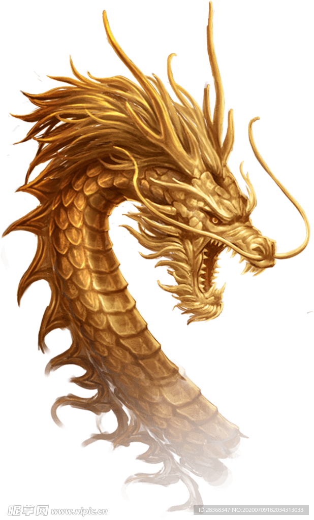 龙