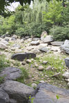 崎岖石林