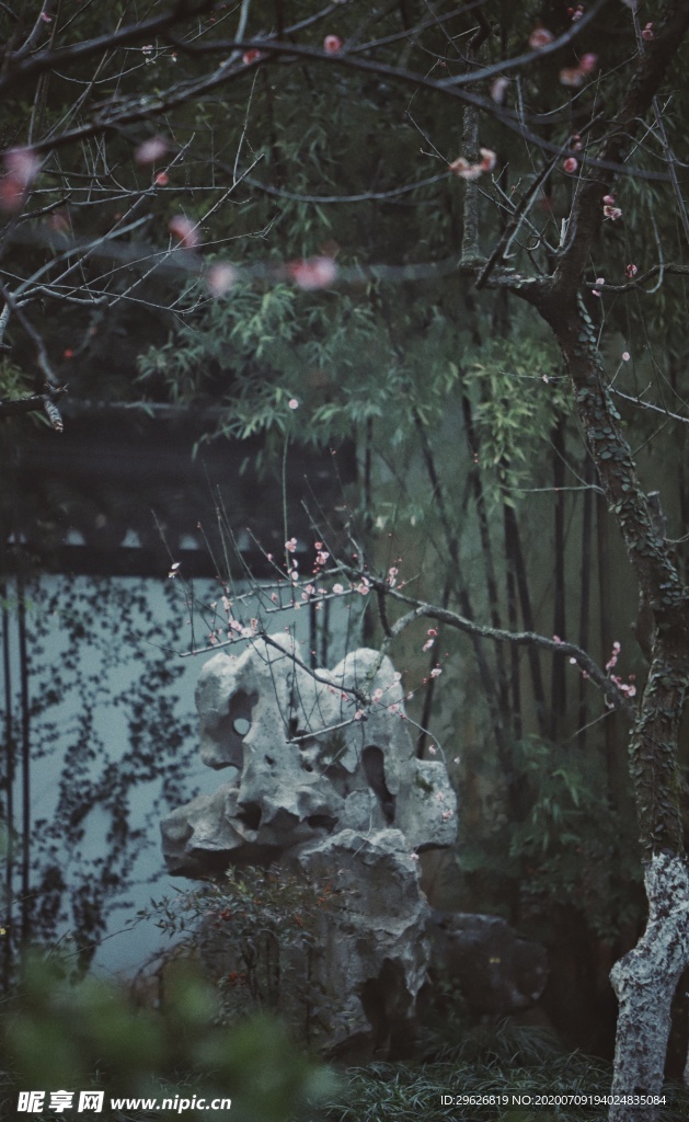 梅花