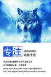 专注
