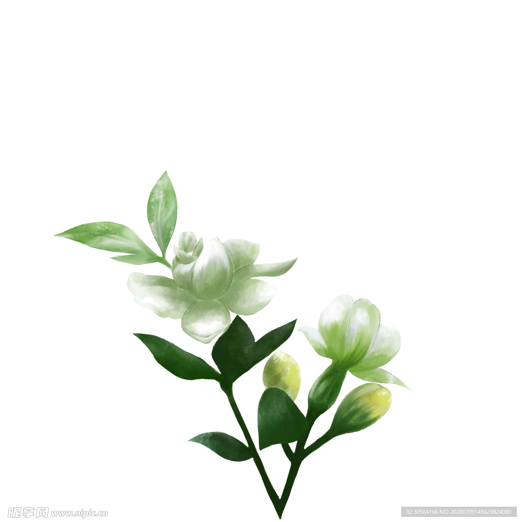 茉莉花国风清新插画背景素材