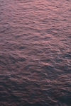 海