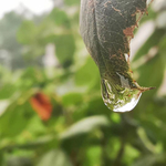 水滴倒影