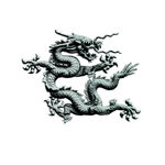 浮雕龙 特效