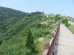 嵩北森林公园一景