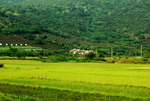 旅游风景