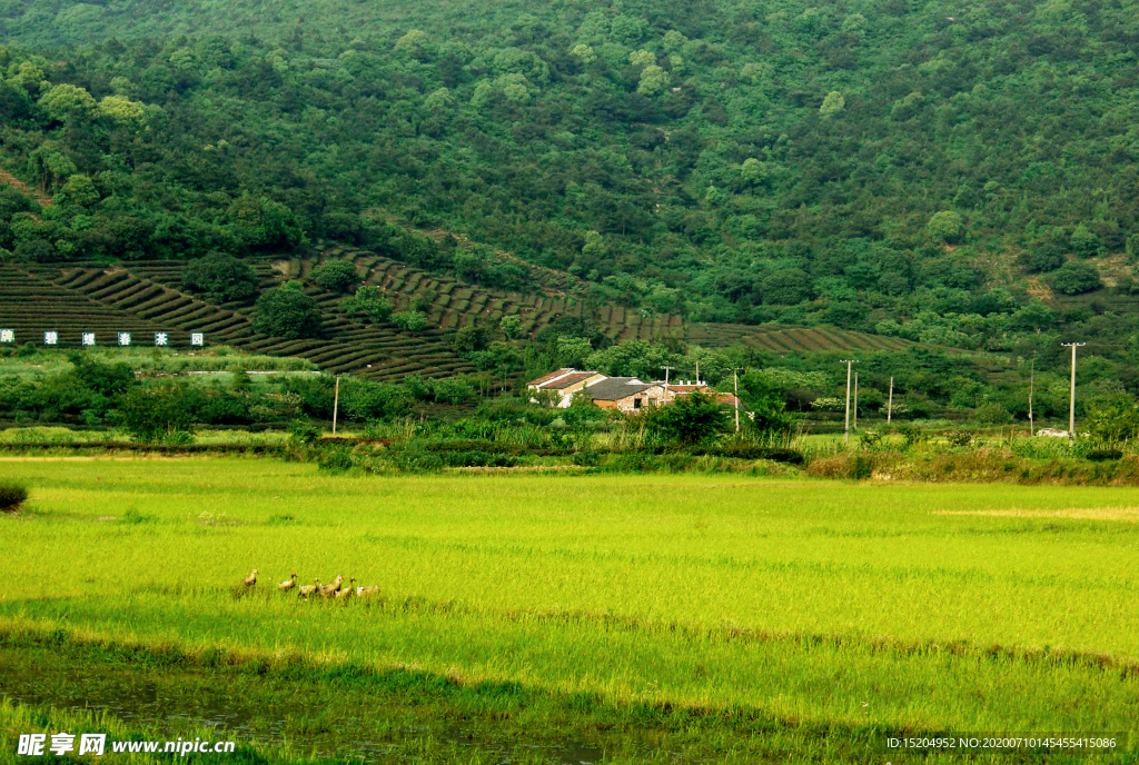 旅游风景