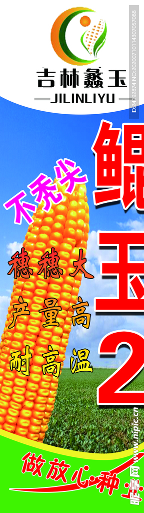玉米宣传
