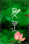 荷花 荷叶