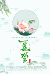 夏至海报荷花