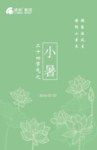 手绘荷花 小暑