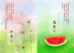 大暑  西瓜