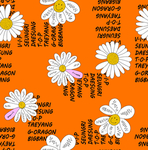 菊花 字母