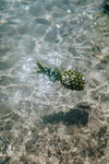 海洋水面摄影