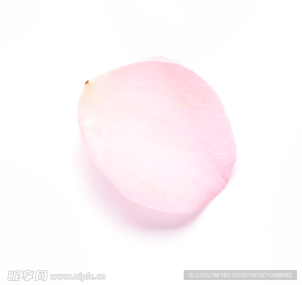 花瓣