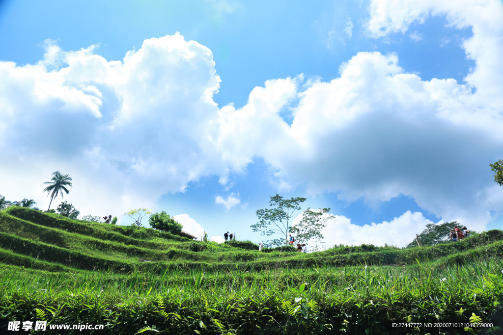 天白云背景