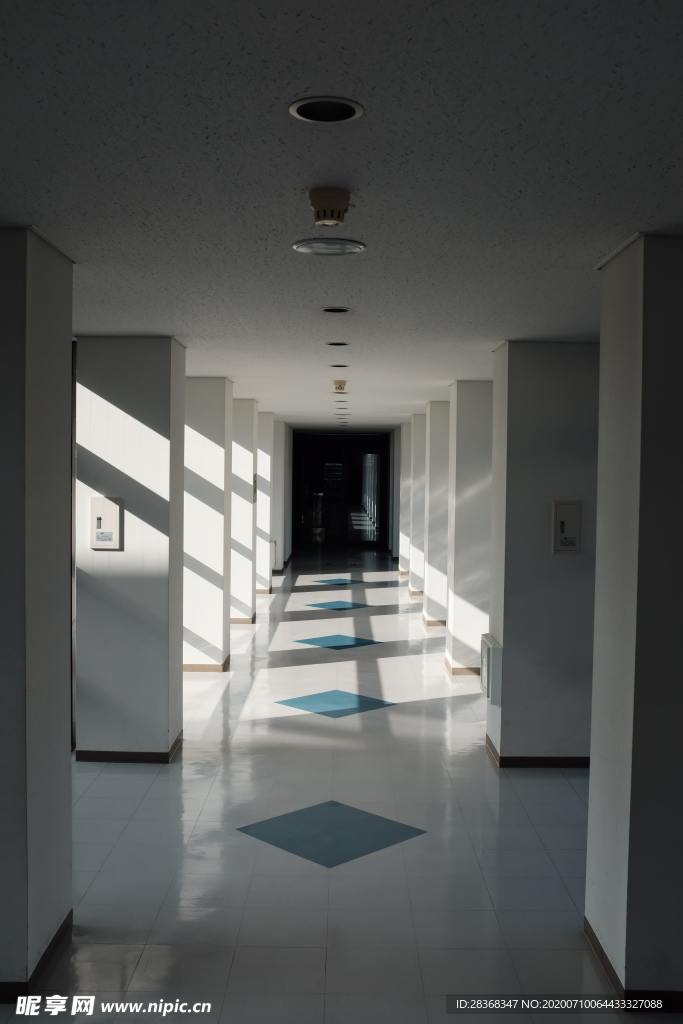 地板