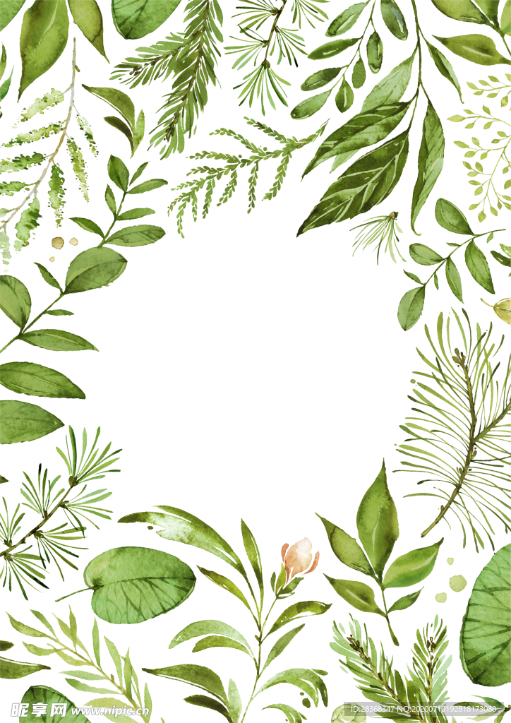手绘植物叶子