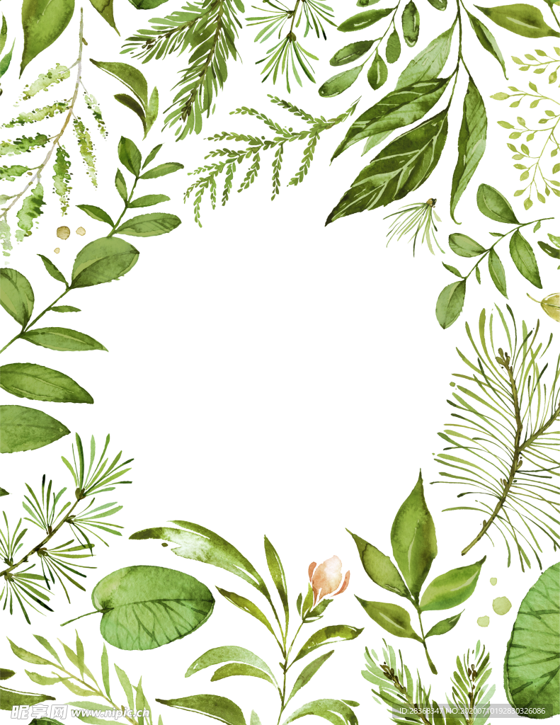 手绘植物叶子
