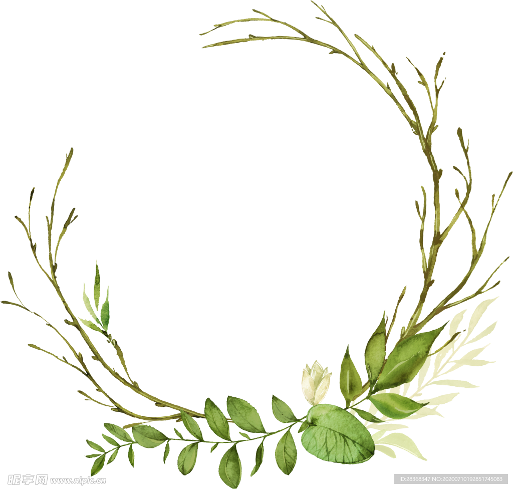手绘植物叶子