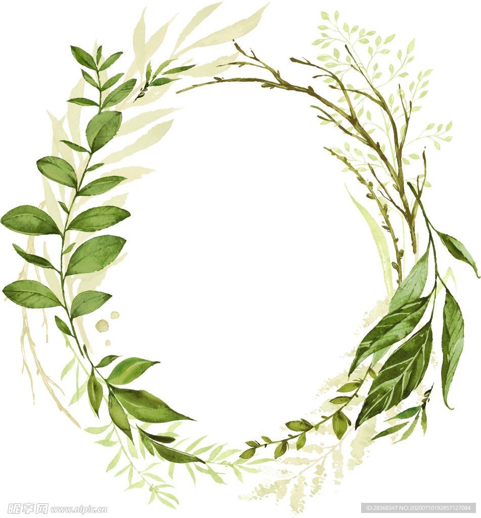 手绘植物叶子