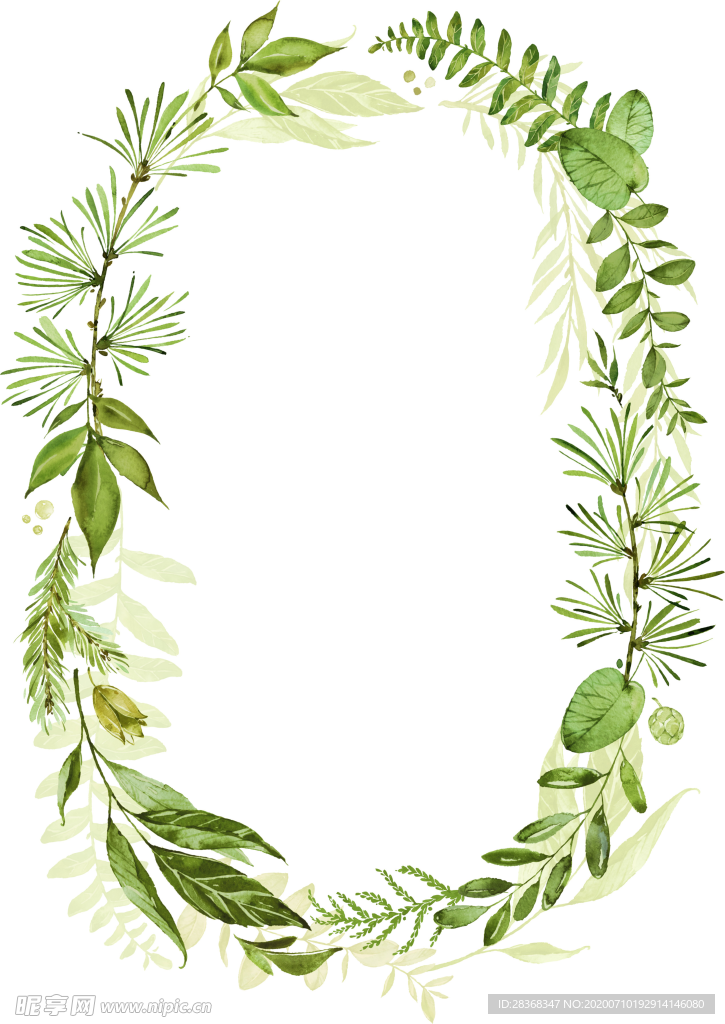 手绘植物叶子
