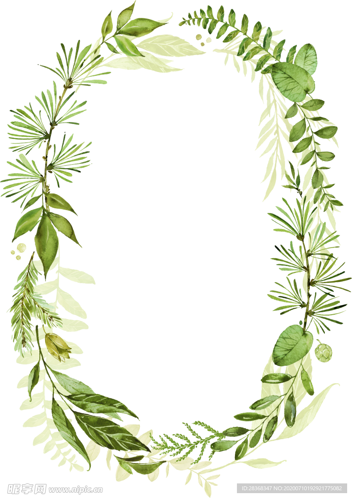 手绘植物叶子