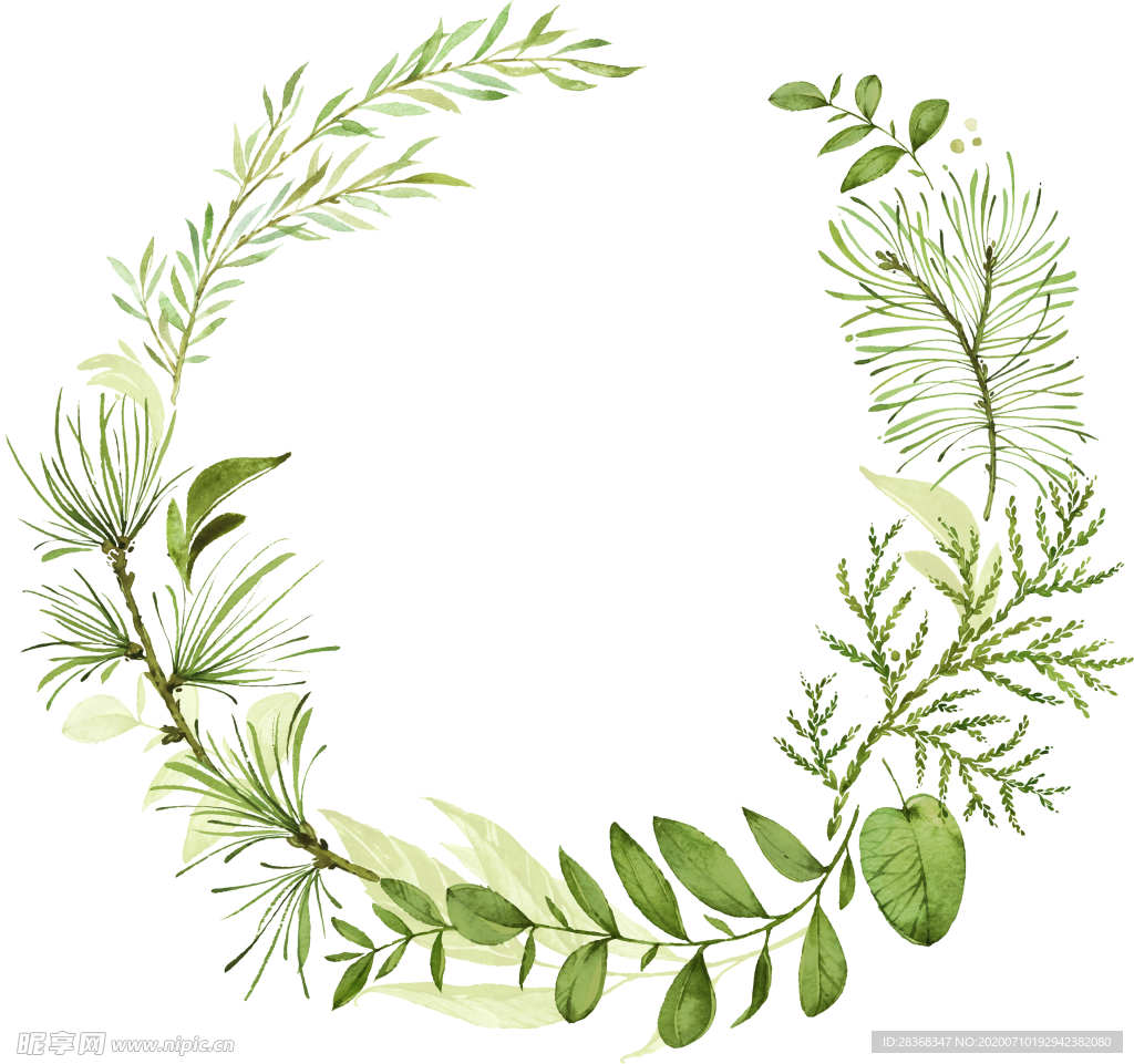 手绘植物叶子