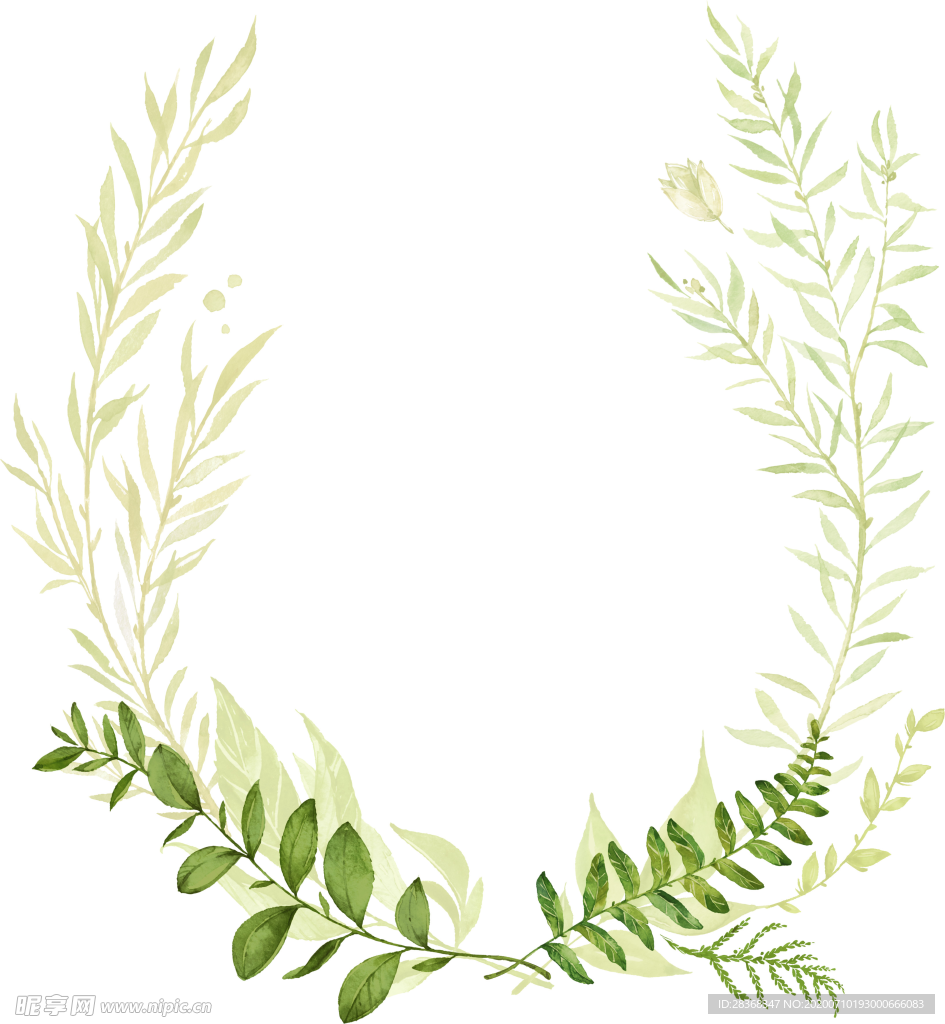 手绘植物叶子