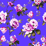 向日葵 菊花 花朵 花卉 素材