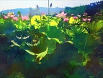 荷花