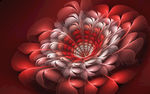 大红花花纹