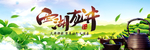 西湖龙井