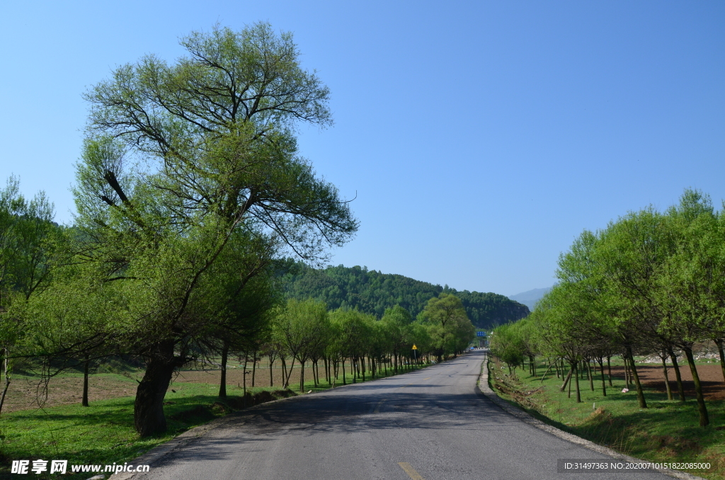 柏油马路