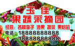 采摘园
