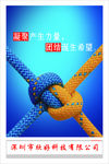 团队