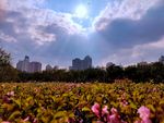 城市景观