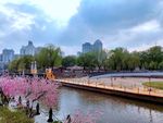 城市景观