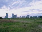 城市景观
