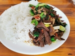 黑木耳肉丝盖饭