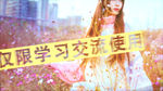 ae模板 ae相册模板