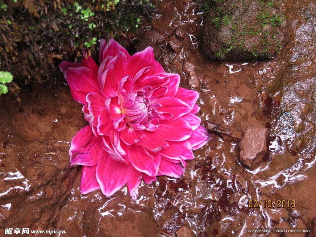 花