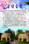 南京明孝陵