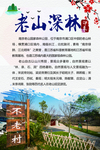 老山森林公园
