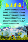 高淳慢城