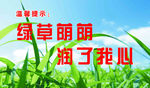 温馨提示绿草荫荫
