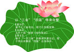 荷花造型